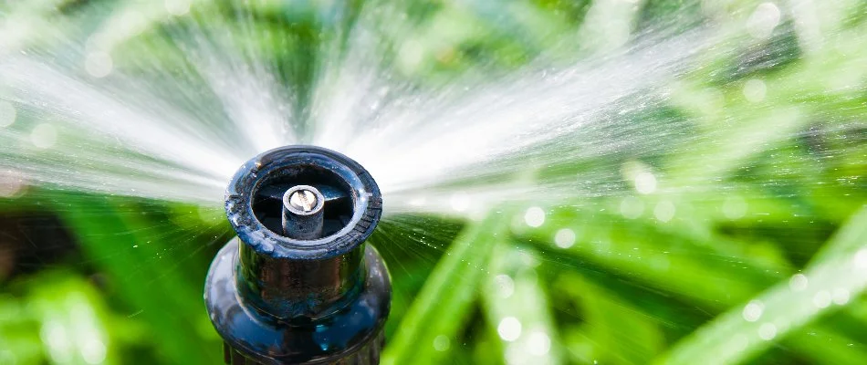 Close up of a sprinkler head in The Woodlands, TX.