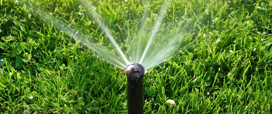 Close up of a sprinkler head in Klein, TX.