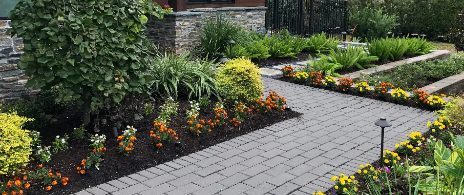 Flowers and plants along a paver walkway in Kingwood, TX.