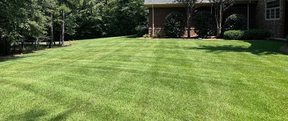 Healthy fertilized lawn in The Village of Grogan's Mill, TX.