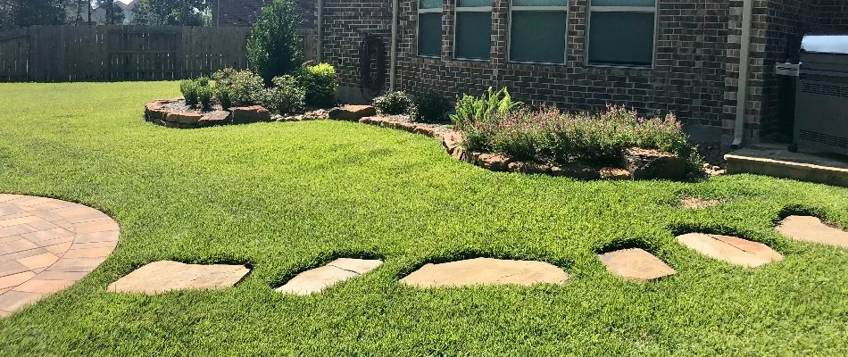 Healthy green grass in Klein, TX, near landscaping.