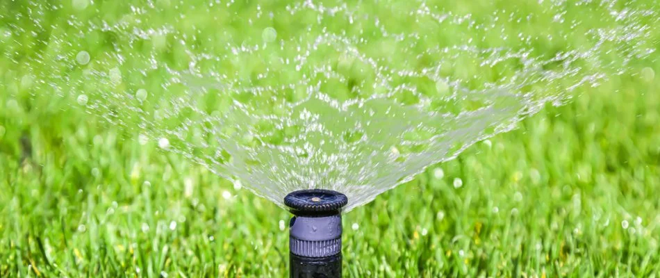 Sprinkler head of an irrigation system on a green lawn in Conroe, TX.