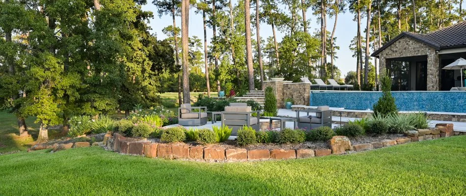 Spraying shrubs at home in Humble, TX.