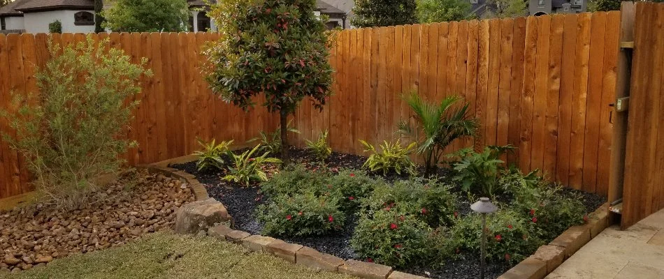 Landscape bed in Conroe, TX, with tree and small plants.