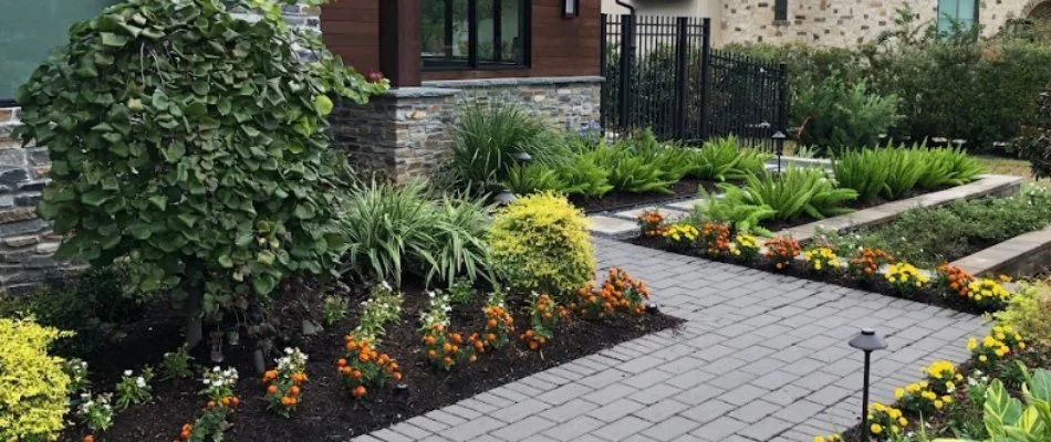 Colorful plants in landscape beds on a property in Kingwood, TX.
