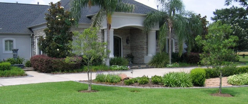 Yard in Kingwood, TX, with neat green plants.