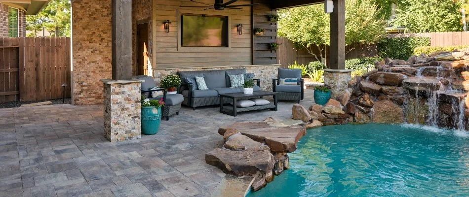 Seedlings growing in a new lawn in Kingwood, TX.