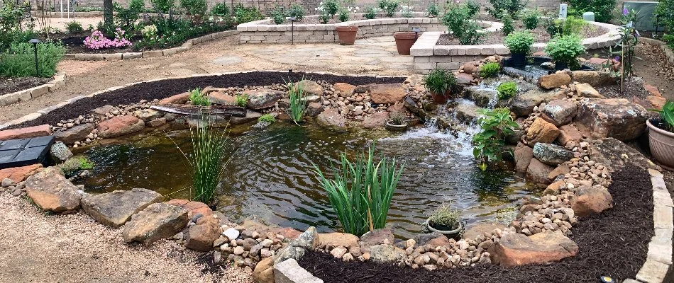 Pond water feature with landscaping.