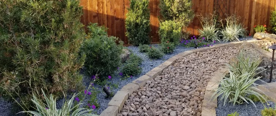 Rock landscape with plants and a dry creek bed in Kingwood, TX.