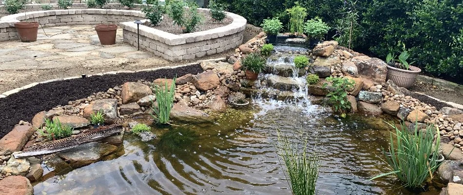 Water feature with green plants in Huffman, TX.